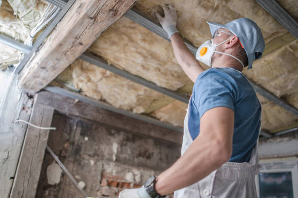 Best Insulation for Specific Applications in English, IN