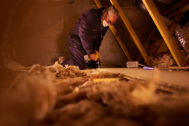 Best DIY Insulation Kits and Guidance in English, IN